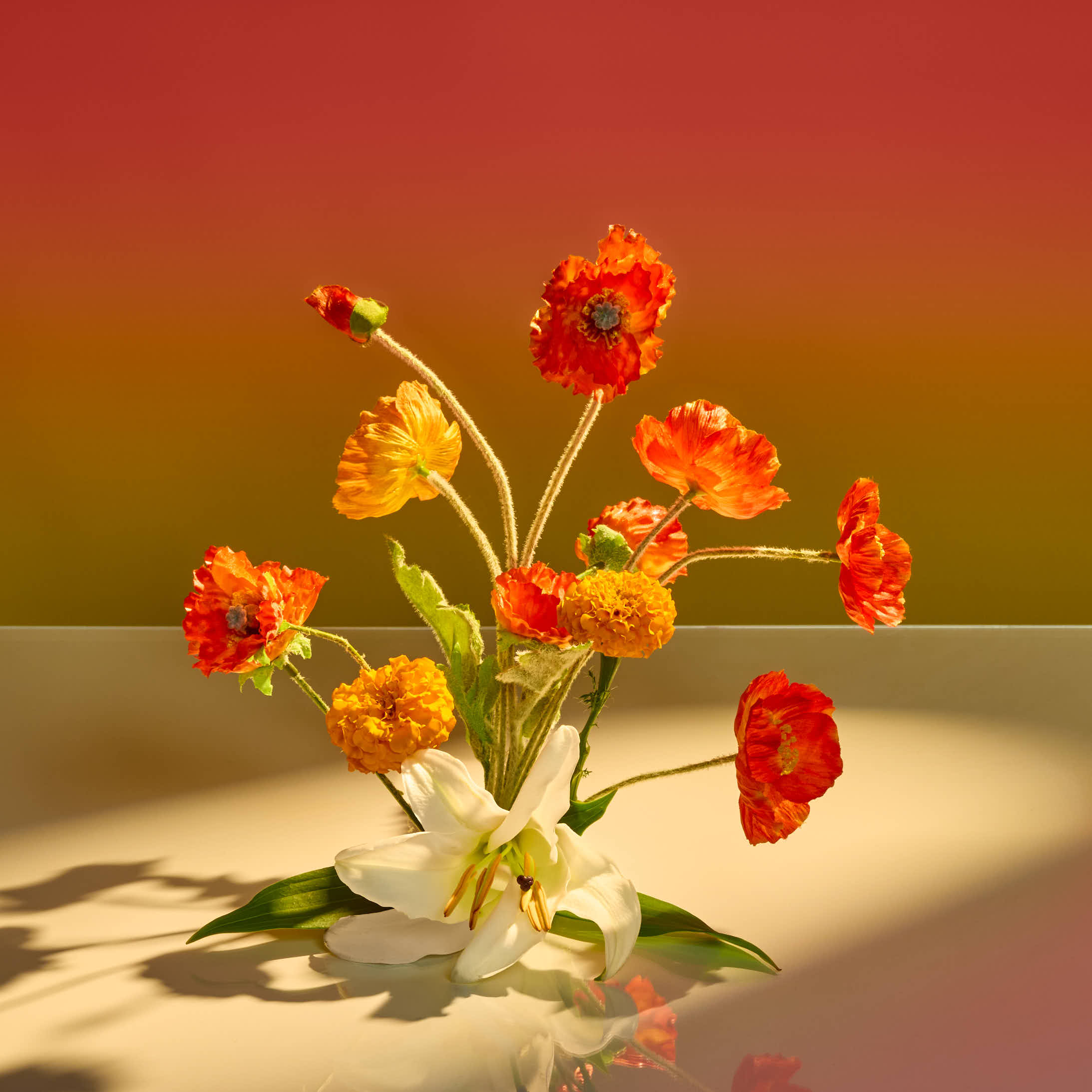 Sunkissed Poppy Fragrance Mist - Image 5