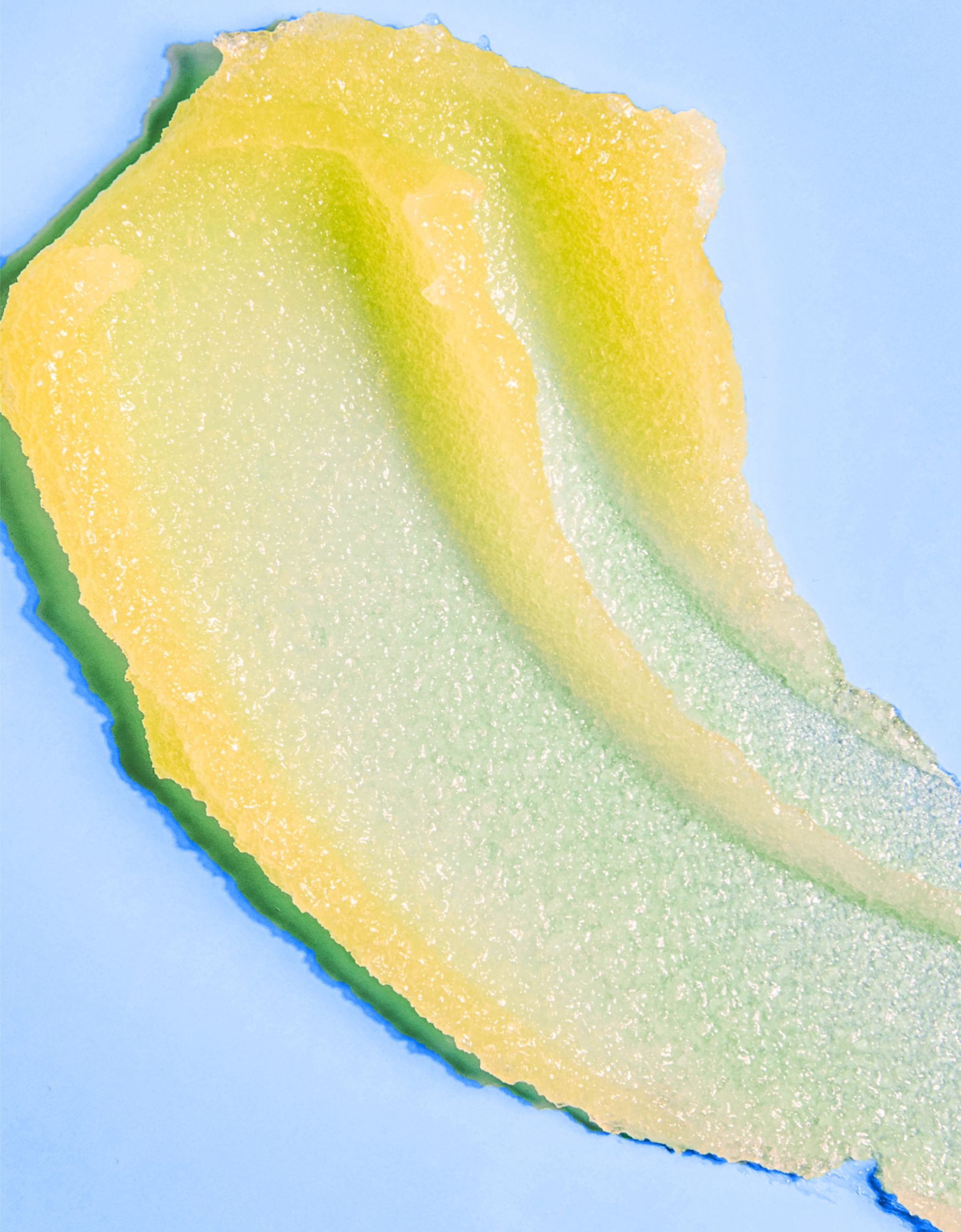 Dewy Daisy Shea Sugar Scrub - Image 8